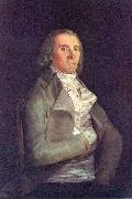 Francisco de Goya Retrato del doctor Peral oil on canvas